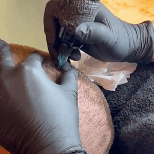 Haarpigmentierung zugeschnitten